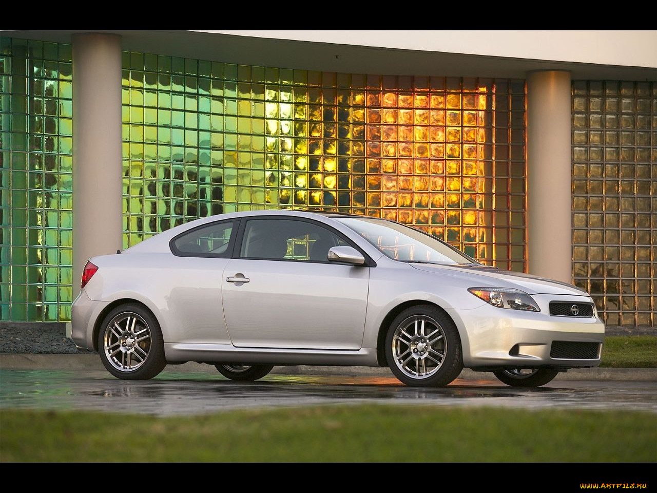, scion